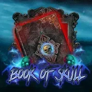 Book of Skull game icon